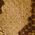 Color Swatch - Animal