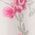 Color Swatch - Pink