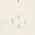 Color Swatch - Ivory