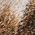Color Swatch - Animal