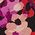 Color Swatch - Floral