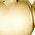 Color Swatch - Gold