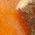 Color Swatch - Orange