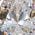 Color Swatch - White