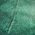 Color Swatch - Pine