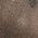 Color Swatch - Brown