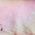 Color Swatch - Silk Mist