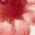 Color Swatch - Pink