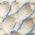 Color Swatch - Grey