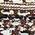 Color Swatch - Brown