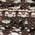 Color Swatch - Brown