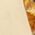 Color Swatch - Gold