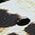 Color Swatch - Jiffy Black/Shell White/Leopard