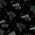 Color Swatch - Black