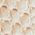 Color Swatch - Ivory