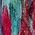 Color Swatch - Bright Fuchsia Multi