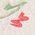 Color Swatch - Floral