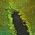 Color Swatch - Green