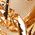 Color Swatch - Gold