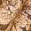 Color Swatch - Brown