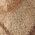 Color Swatch - Tan