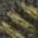Color Swatch - Green