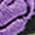 Color Swatch - Floral
