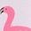 Color Swatch - Pink