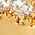 Color Swatch - Gold