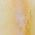 Color Swatch - Gold