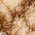 Color Swatch - Brown