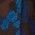 Color Swatch - Brown/Blue
