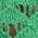 Color Swatch - Green
