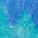 Color Swatch - Blue