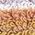 Color Swatch - Taupe
