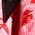 Color Swatch - Red
