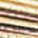 Color Swatch - Gold