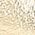 Color Swatch - Gold
