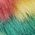 Color Swatch - Multi