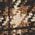 Color Swatch - Brown