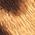 Color Swatch - Brown