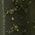 Color Swatch - Green