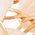 Color Swatch - Gold