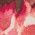 Color Swatch - Floral