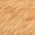 Color Swatch - Brown