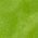 Color Swatch - Green
