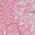 Color Swatch - Pink
