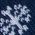 Color Swatch - Navy
