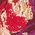 Color Swatch - Floral