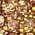 Color Swatch - Gold